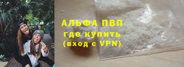 СК Алексин