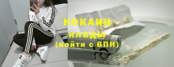 СК Алексин