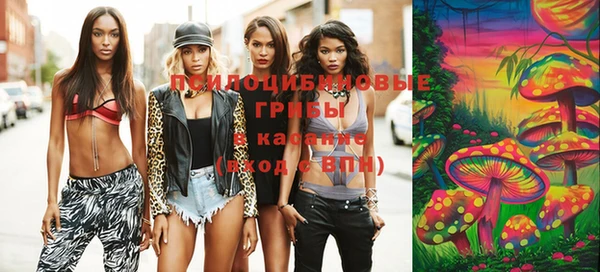 mix Алексеевка