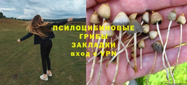 СК Алексин