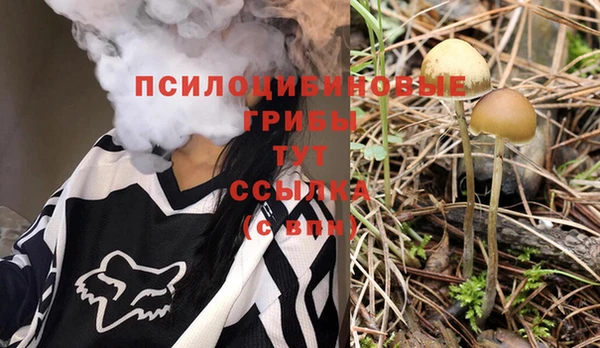 каннабис Алзамай