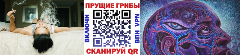 Галлюциногенные грибы мухоморы  Дзержинский 